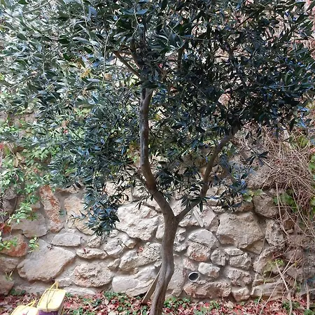 הים פוגש את ההר- בית בלב הגליל Sea & Mount Adamit Exterior photo